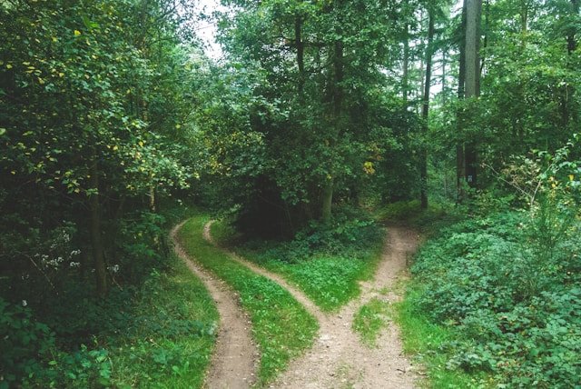 Decentralisation, silence, and the Fediverse
